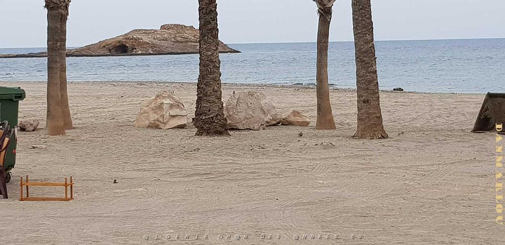 HOMMAGE A N.D. DE SANTA CRUZ A DALIAS DU 7 AU 10 JUIN 2019 (606) ESCAPADE A CARBONERA ET MOJACA .jpg
